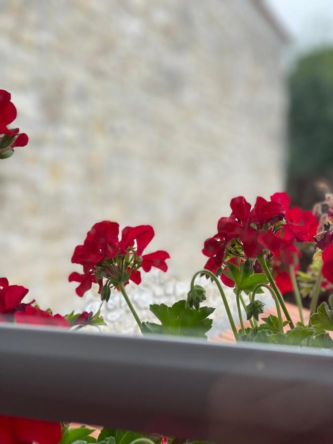 Le Vieux Moulin Bed and Breakfast Bouhet Εξωτερικό φωτογραφία